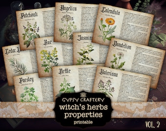 Witchcraft Herbs Vol. 2: Printable Cards for Grimoire Pages, BOS, Witch Junk Journal