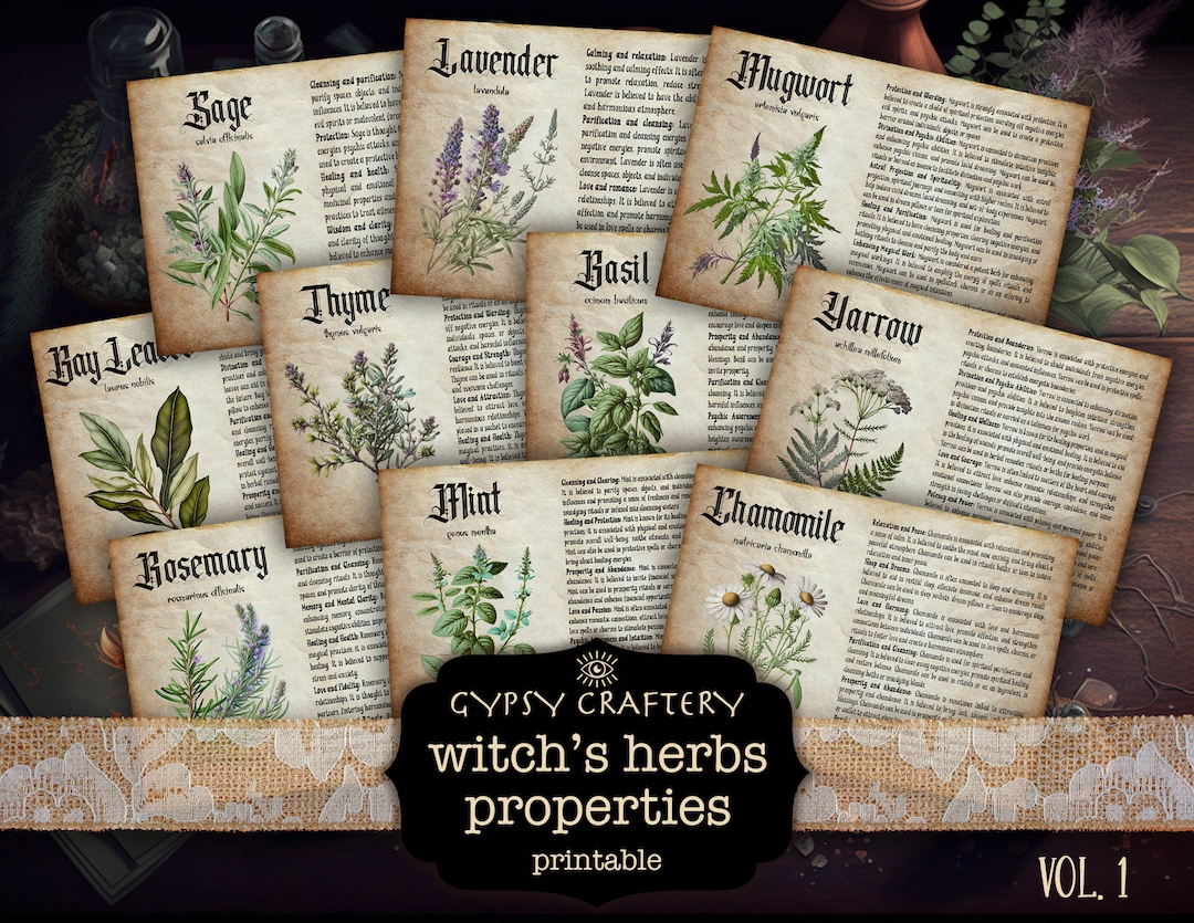 Herb Correspondences, Printable Grimoire Pages, Magical Herbs, Bos Pages,  Witchcraft Herbs, Witch Printables, Witch Ephemera, Digital