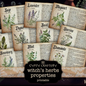 Kräuterkorrespondenzen, druckbare Grimoire Seiten, magische Kräuter, Bos Seiten, Hexenkräuter, Hexen Printables, Hexen Ephemera, digital