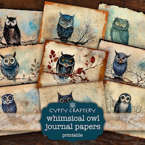 Whimsical Owl Junk Journal Paper, Owl Printable Pages, Owl Digital Paper, Scrapbook Supplies, Journal Supplies, Diy, Paper Crafts