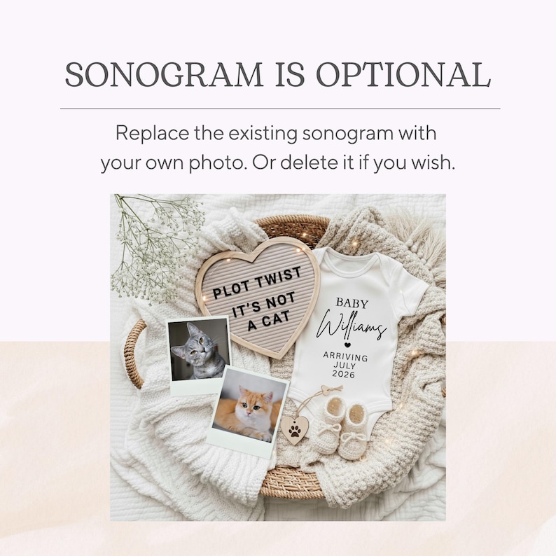 May include: A white baby bodysuit with the text Baby Williams Arriving July 2026, a heart-shaped letter board reading PLOT TWIST IT'S NOT A CAT, two cat photos, and small cream-colored knit booties with a wooden paw print tag in a woven basket.