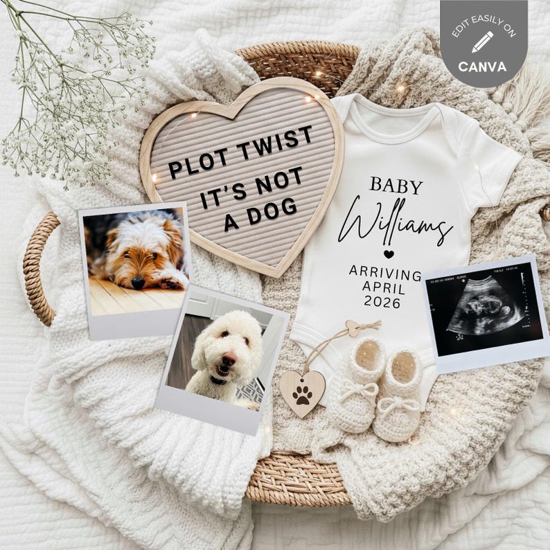 Neutral flat lay pregnancy announcement featuring a heart-shaped letter board reading 'PLOT TWIST IT'S NOT A DOG'. Includes a custom white onesie, ultrasound photo, knitted booties, and two dog photos arranged on a chunky knit blanket in a basket.