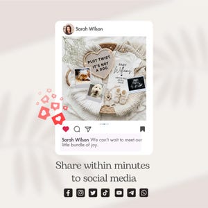 May include: A social media post announcing a baby. The post includes a heart-shaped sign that reads "Plot Twist It's Not A Dog", a baby onesie, baby shoes, and sonogram images. The post is from Sarah Wilson.