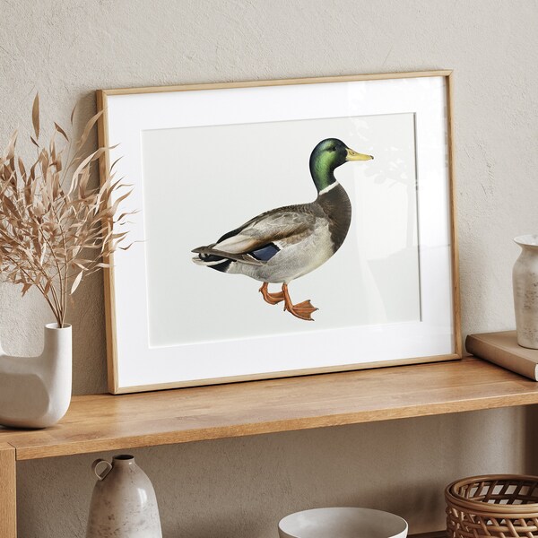 peinture de canard vintage, décor de ferme rustique, impression de canard colvert, art de canard vintage, impression de décor de campagne, art imprimable vintage, art du paysage