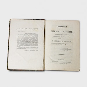 Historia de la Vida de N.S. Jesucristo | Barthelemy de Beauregard, J. | Vintage spanisches religiöses Buch (1856)