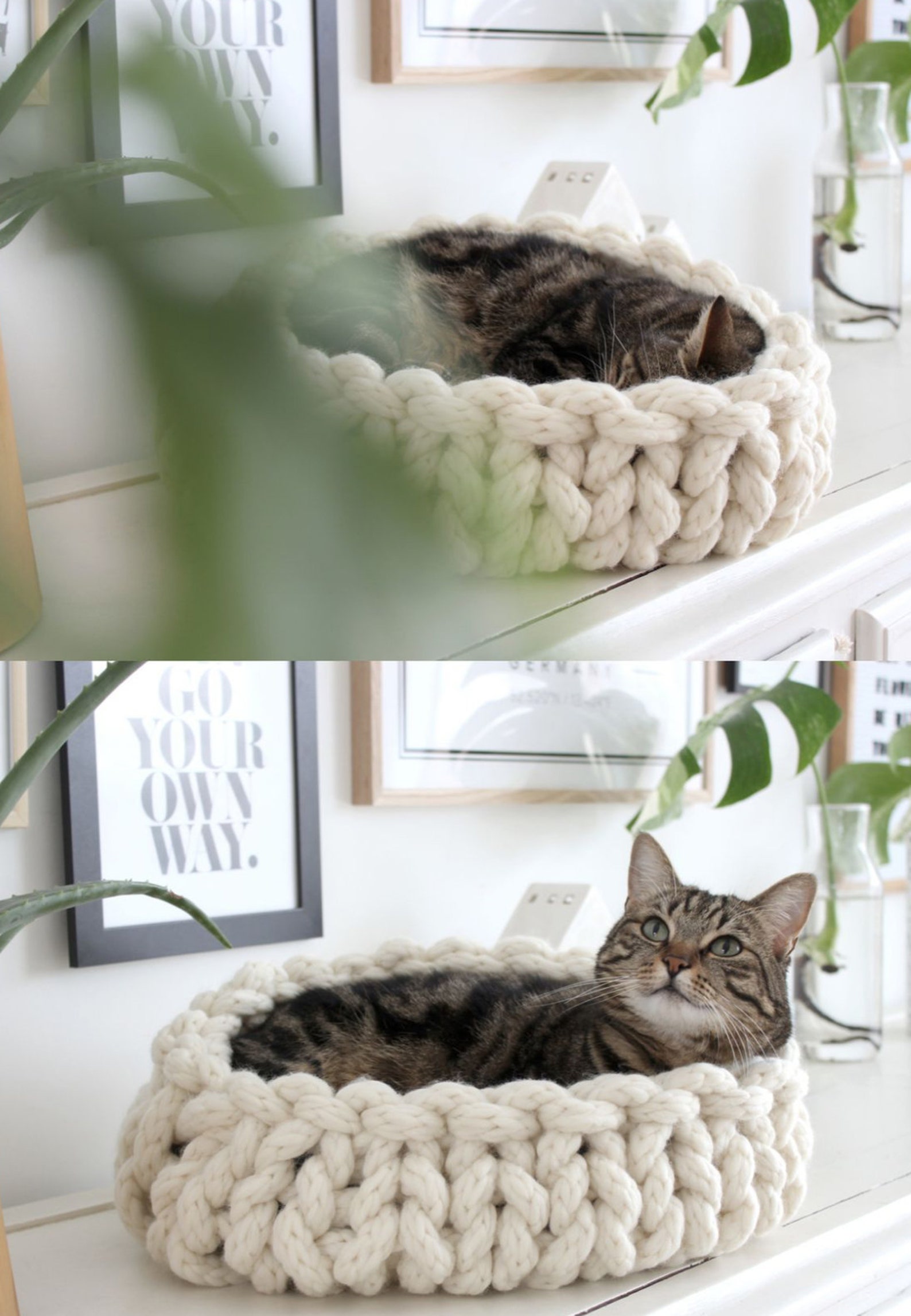 Pet Bed Video Tutorial & Written Knitting Pattern Chunky Cat Pattern
