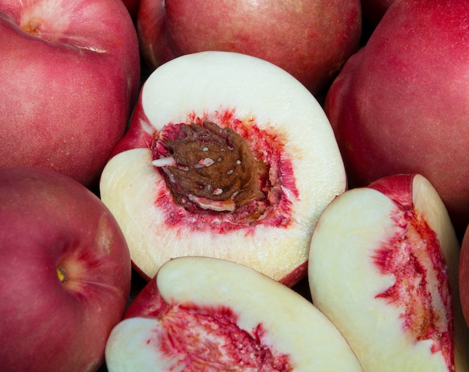 Red Gold Nectarine Tree, 4 Unrooted Cuttings 78 Inches Etsy