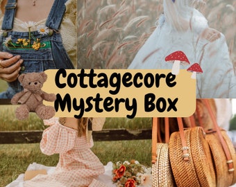 Cottagecore Mystery Box Pacchetto di vestiti Scatola a sorpresa Vestiti scatola misteriosa fairycore di fungo del nucleo