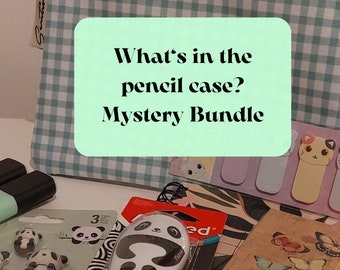 What's in the Pencil Case ?! Kawaii mystery stationery Box,School Supplies,Stickers,Pencil Cases,Washi tapes,Memo