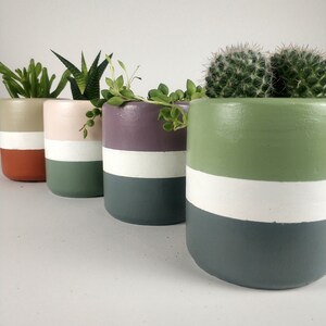 May include: Four different coloured concrete planters with a white stripe. Each planter has a different type of succulent plant growing in it. The planters are arranged in a row from left to right, with the planter on the left being the smallest and the planter on the right being the largest.