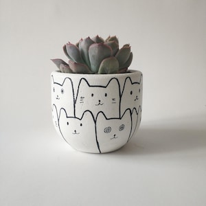 Pode incluir: Vaso de cerâmica branco com uma ilustração de gatos em preto e branco. O vaso está cheio de uma planta suculenta verde.