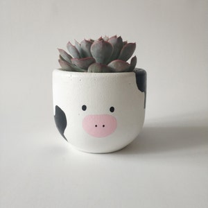 May include: A white ceramic planter with black and white cow spots and a pink painted nose and eyes. The planter is filled with a green succulent plant.