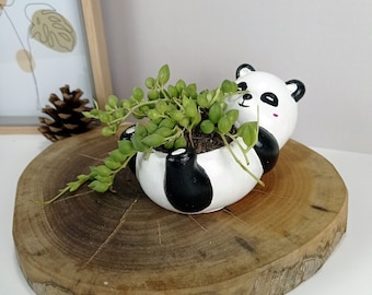 Betonnen vetplantenbak panda, minimalistisch decor