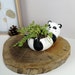 see more listings in the Flower Pot section