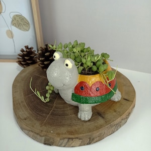 Puede incluir: Un macetero de cerámica gris en forma de tortuga con un diseño de caparazón amarillo, rojo y verde. El macetero está lleno de una planta suculenta verde.