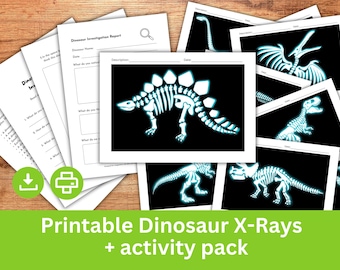 Jeu de rôle de radiographies de dinosaures imprimables pour les enfants. Modèles radiographiques de squelettes et d'os de dinosaures. Jeu de simulation et activité scientifique pour les enfants d'âge préscolaire.