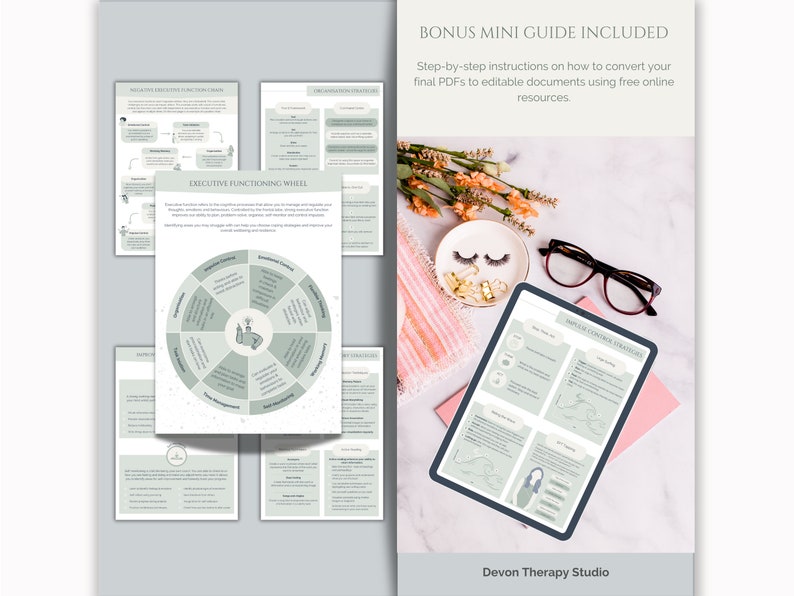 Executive Functioning Wheel & Strategies ADHD Planner Coping Skills CBT ...