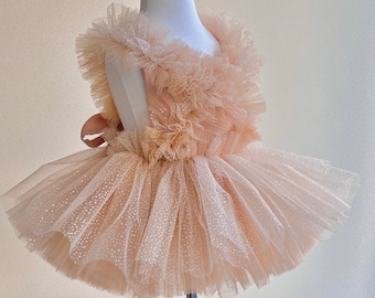 Boho Birthday Tulle Dress | First Birthday Dress | Tulle Dress | Birthday Tutu |  Photoshoot Outfit