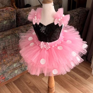 Pu&ograve; includere: Una gonna tutu di tulle rosa con pois bianchi e un corpetto nero di paillettes. La gonna ha un fiocco nero in vita. L'abito &egrave; completato da una fascia nera con orecchie rosa e un fiocco rosa.