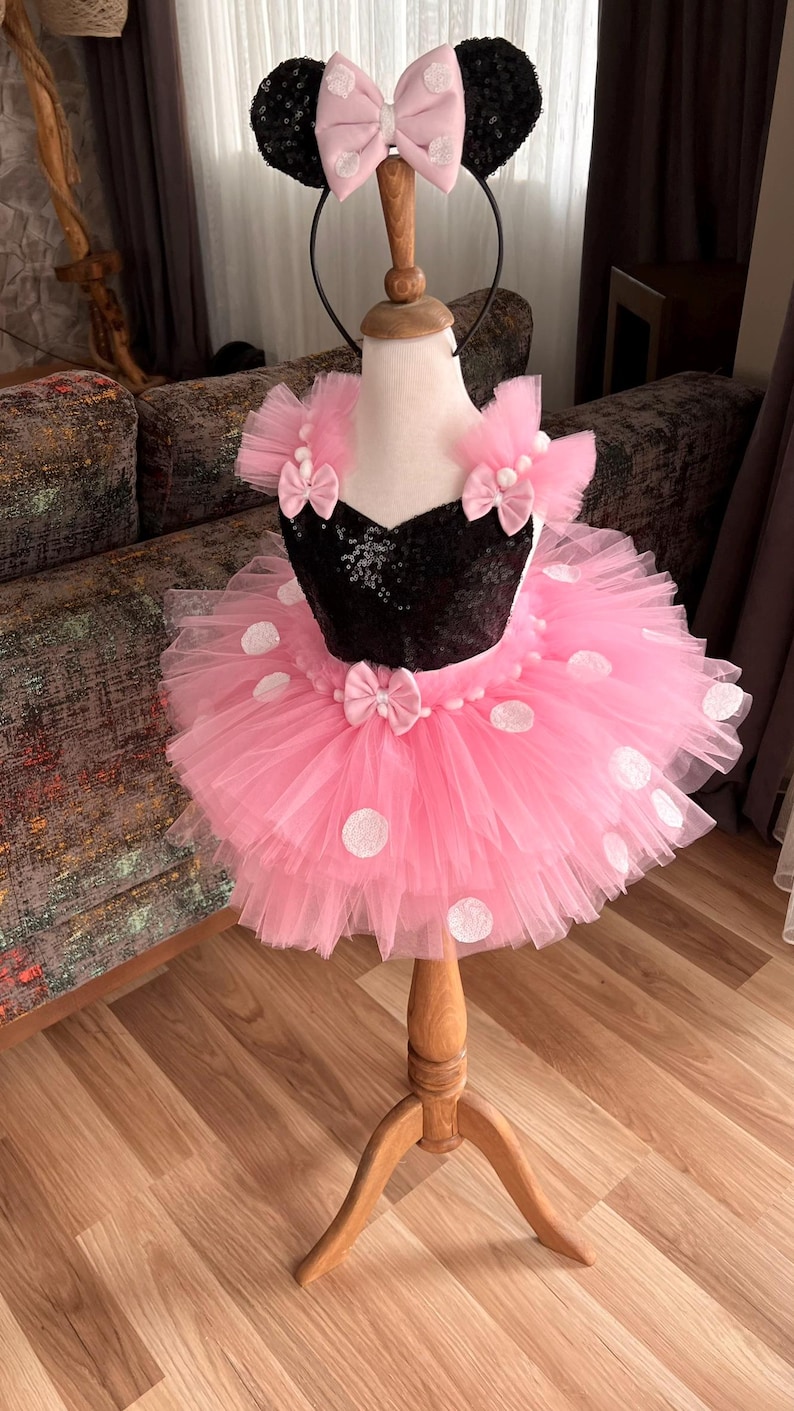 Pu&ograve; includere: Una gonna tutu di tulle rosa con pois bianchi e un corpetto nero di paillettes. La gonna ha un fiocco nero in vita. L'abito &egrave; completato da una fascia nera con orecchie rosa e un fiocco rosa.