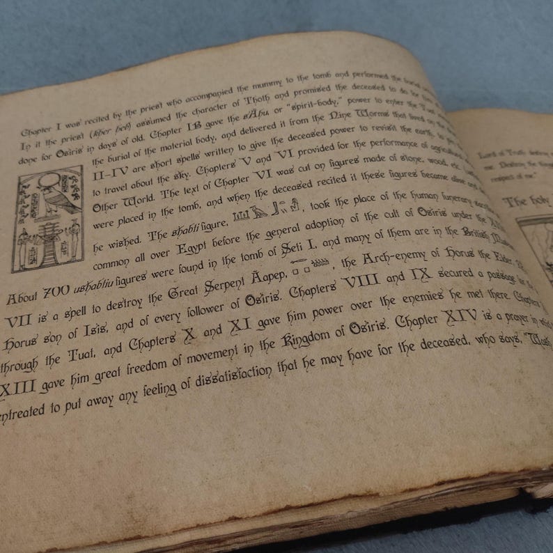 K&ouml;nnte beinhalten: Offenes Buch mit gealterten, vergilbten Seiten. Der Text ist mit schwarzer Tinte handschriftlich verfasst und beschreibt alt&auml;gyptische Rituale und Zauberspr&uuml;che. Es gibt auch Illustrationen von Hieroglyphen und Figuren. Das Buch scheint ein historischer oder religi&ouml;ser Text zu sein.
