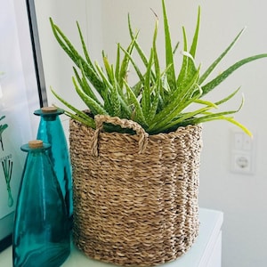 Decorative basket, storage basket, storage basket, round basket with sturdy handles, made of seagrass image 1