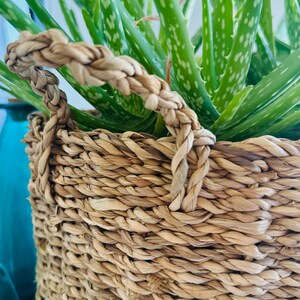 Cesta decorativa, cesta de almacenamiento, cesta de almacenamiento, cesta redonda con asas resistentes, de algas marinas imagen 2