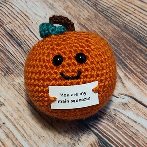 May include: A crocheted orange pumpkin with a green stem and a smiling face holds a white card that says "You are my main squeeze!"