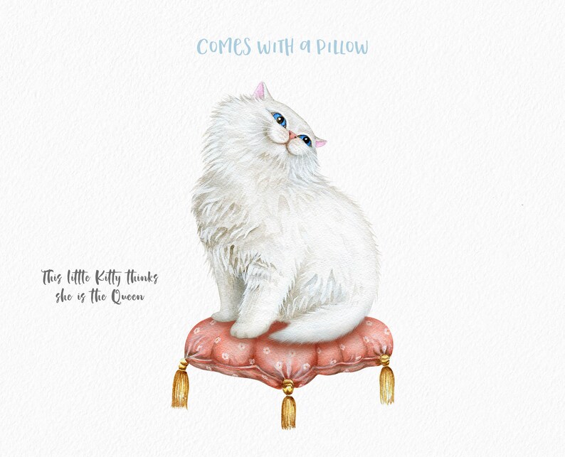 May include: Watercolor illustration of a fluffy white cat with blue eyes, perched on a pink pillow with gold tassels. The text "COMES WITH A PILLOW" and "This little Kitty thinks she is the Queen" are also present.