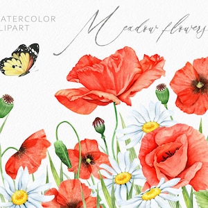 Clipart de fleurs de prairie aquarelle. Clipart floral aquarelle. Fleurs sauvages de pavot et de camomille. Fond floral. Bordure florale PNG numérique