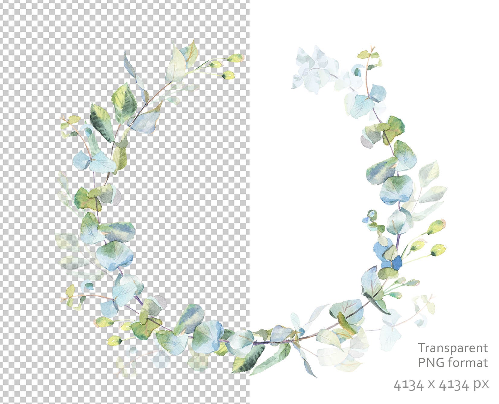 Eucalyptus Wreath Clipart. Eucalyptus Branch. Watercolor Clipart