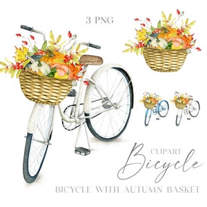 Bicicletta dell'acquerello con clipart del cestino di autunno. Cesto di zucche. Cesto di zucca raccolto. Clipart d'autunno. Bici con bouquet autunnale. PNG digitale