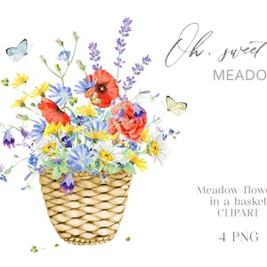 Clipart des fleurs des prés. Panier floral. Bouquet floral aquarelle. Fleurs de prairie dans un panier. Bouquet de fleurs d’été. Numérique. Papouasie-Nouvelle-Guinée