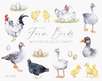 Imágenes prediseñadas de aves de granja. Acuarela de animales de granja. Imágenes prediseñadas de ganso. Imágenes prediseñadas de pato. Gallo, gallina, pollo, pichon. Imágenes prediseñadas de Pascua. Archivos PNG digitales
