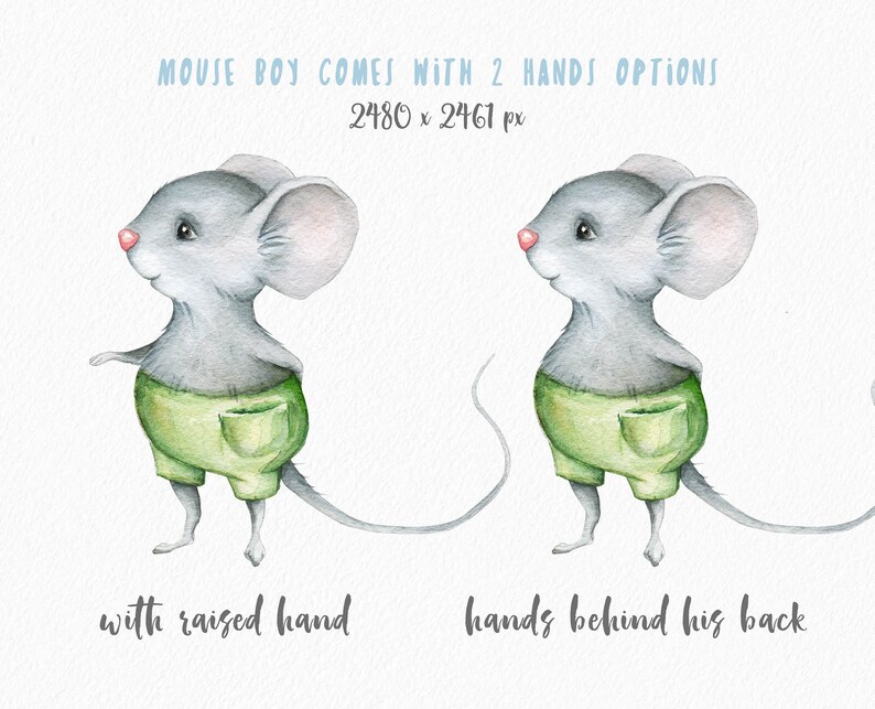 May include: Watercolor illustration of a gray mouse wearing green shorts with a pocket. The mouse is shown in two poses: one with a raised hand and one with hands behind its back. The image is 2480 x 2461 pixels.
