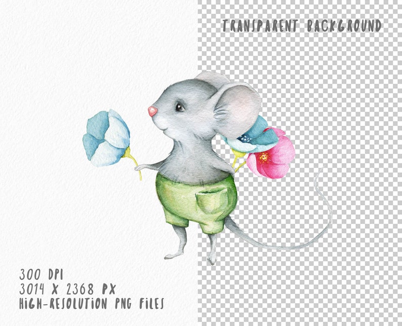 May include: A watercolor illustration of a gray mouse holding a blue flower and a pink flower. The mouse is wearing green shorts with a pocket.