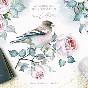 Rozen clipart aquarel bloem clipart collectie Rose bloem bloemstuk vogel clipart kransen boeketten bruiloft clip art PNG digitaal