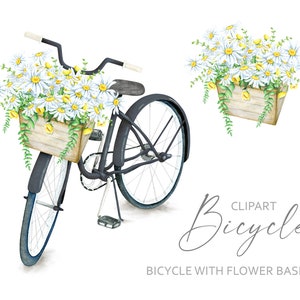 Acquerello Bicicletta Clipart Fiore Cesto Bianco Margherita Camomilla Floreale Bouquet Nero Bici Matrimonio Clip Art Digitale PNG Uso Commerciale