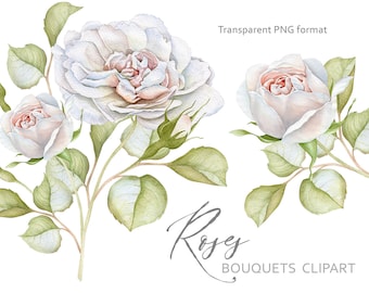 May include: Watercolor illustration of white roses with pink centers and green leaves. The image includes the text "Transparent PNG format" and "Rose BOUQUETS CLIPART". The roses are in full bloom and in bud form.