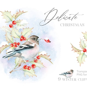 Aquarell Winter Vogel Clipart. Weihnachts-Set. Weihnachten Winter Illustrationen. Urlaub ClipArt. Digitale Weihnachtskarte. PNG