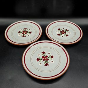 May include: Three ceramic plates with a light blue center, a red rim, and a floral design in the center. The floral design features red and white flowers. The plates have a brown edge.