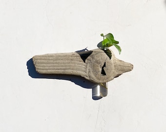 Knotty Driftwood Plant Propagation Station |  Unique Driftwood Piece | Plant Wall Vase |  Home Décor | Wood Art | Natural Lifestyle | Green