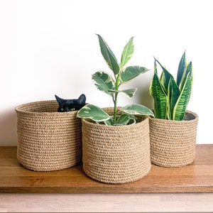 May include: Three natural jute plant pots with a green plant in each. The pots are on a wooden surface.