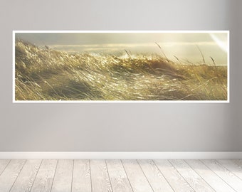 Photo Print Canvas Art Photography, Coast, Dune