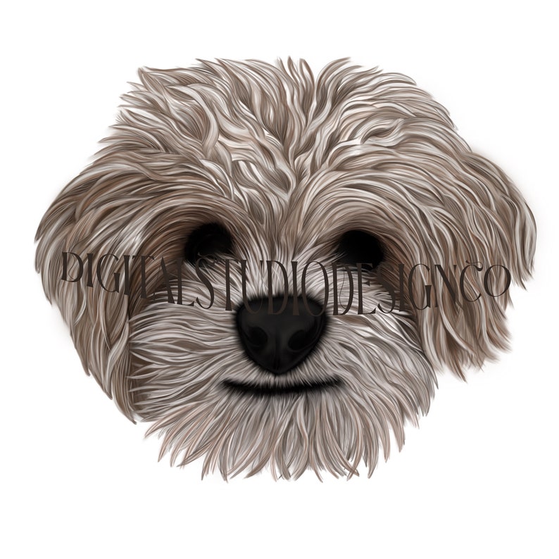 Digital Sticker Cavapoo Dog Art Cute Puppy Sweet - Etsy