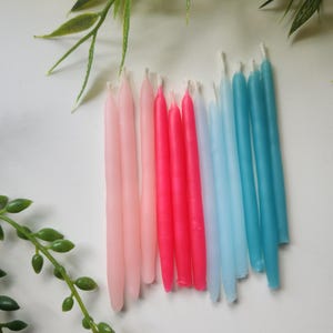 Gender Reveal 12 Pack
