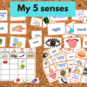 Montessori My 5 senses