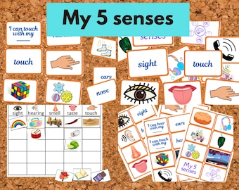 Montessori My 5 senses