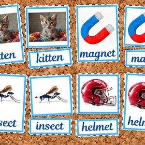 Montessori Blue Series Cards | Phonics Blends & Picture Matching | 3 ...