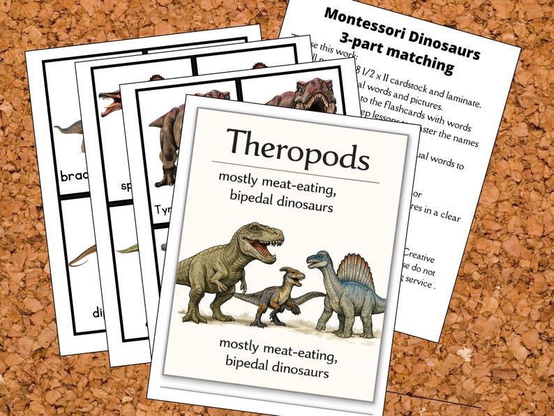 Montessori Dinosaur 3-part Cards With Classification & Sorting - Etsy
